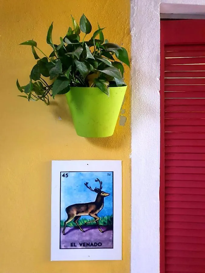 La Casona Hotel Tulum Hostel