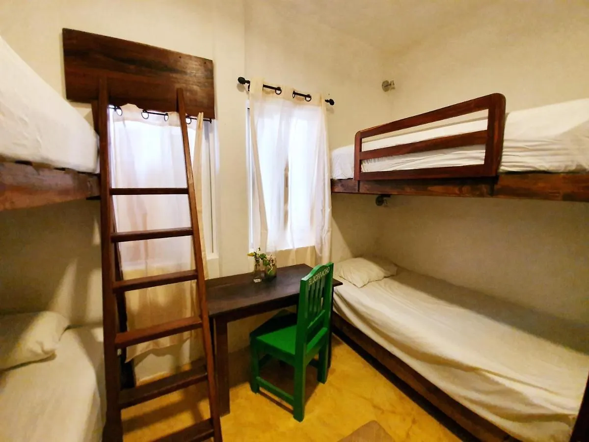 旅馆 La Casona Hotel 图卢姆